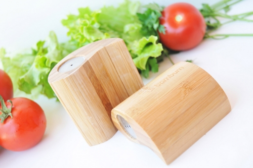 Ginger Tuzluk & Biberlik