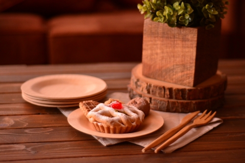 Veni 10’lu Çok Kullan At Tabak Küçük